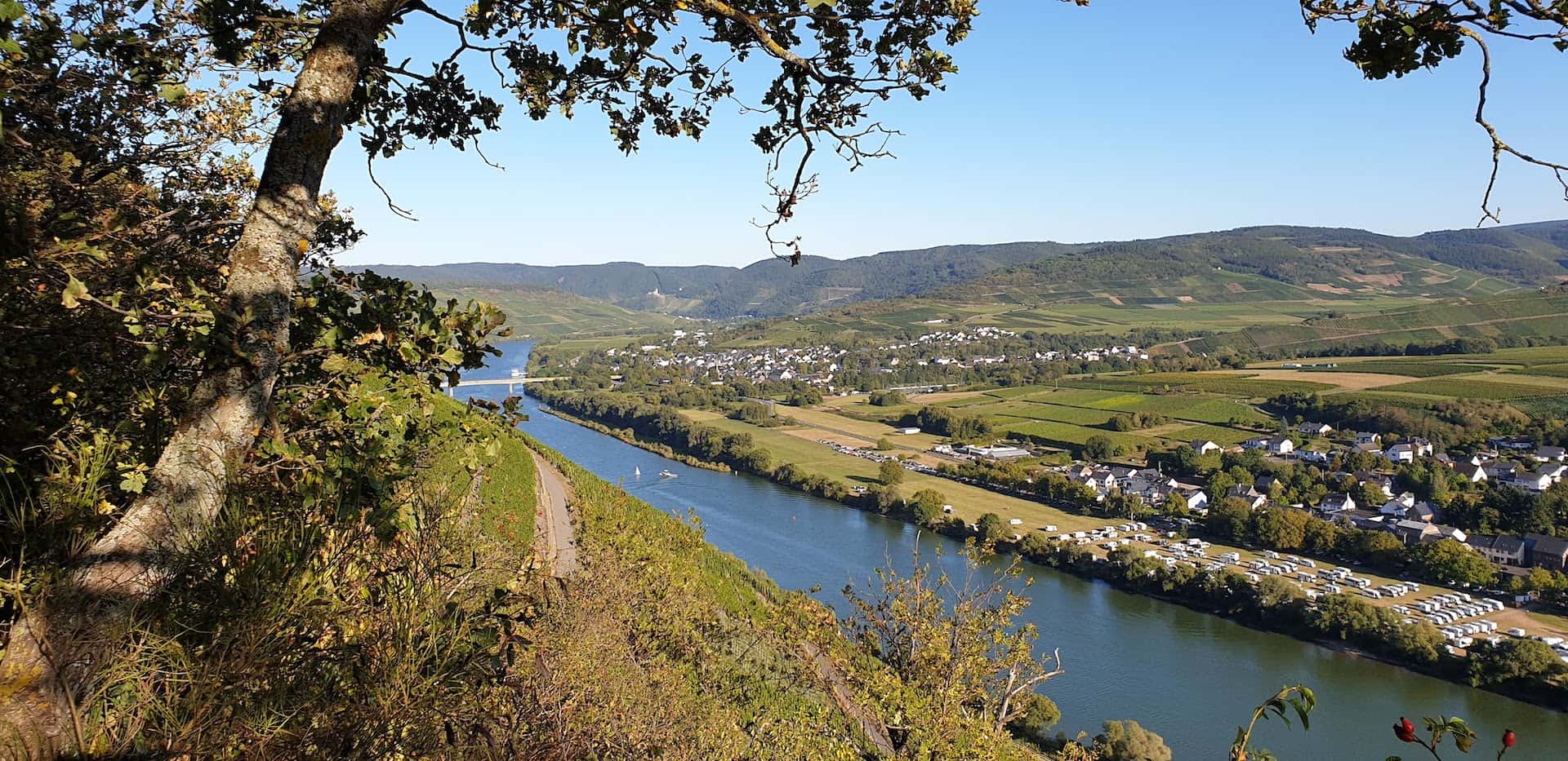 Blick auf Mülheim an der Mosel