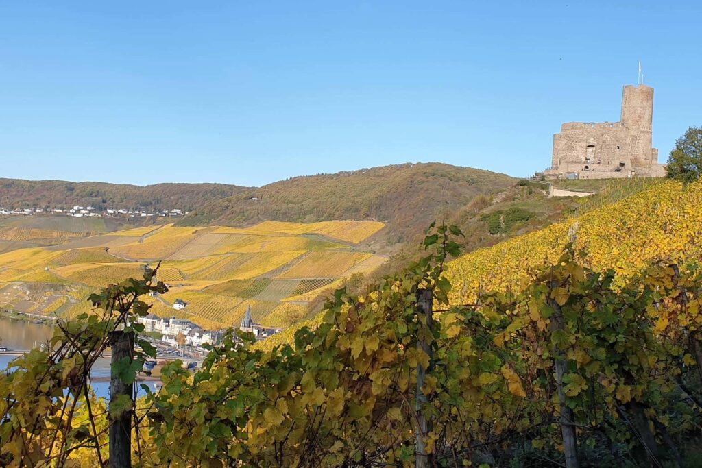 Burg Landshut im Herbst
