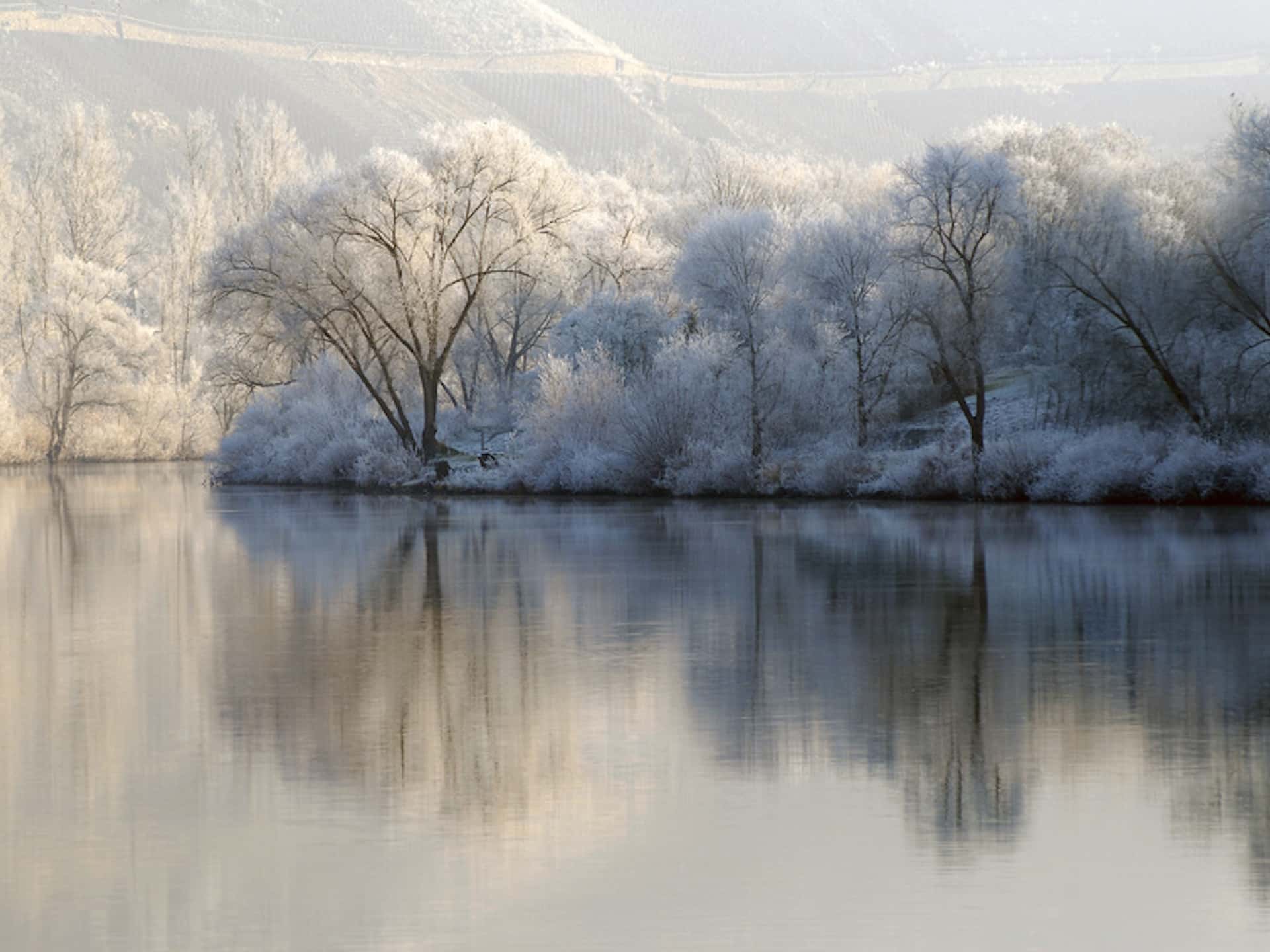 Verschneite Mosellandschaft im Winter